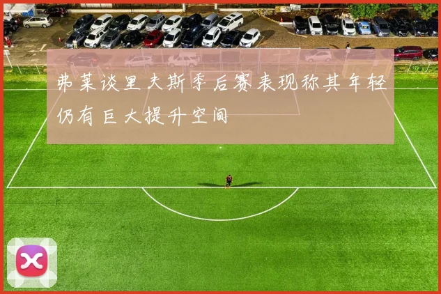 弗莱谈里夫斯季后赛表现称其年轻仍有巨大提升空间